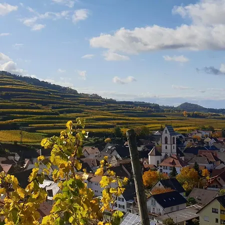 Rotmilan Vogtsburg